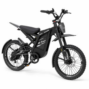 2027 Latest Model Top <b>Seller</b> GT2000 25 kmph speed Dirt Bike 250W High Speed Motor Super Power E-Dirt Bike - Product Image 3