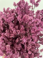 Dekorasi Rumah Pernikahan Limonium Bunga Kering Putih Pink Kristal Rumput Alami Bunga dan Tanaman Kering untuk Rangkaian Bunga