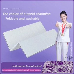 Skylee truyền thống PoE Polymer Nữ Hoàng Kích thước Vua massage có thể tháo rời bìa có thể gập lại làm mát nệm - Product Image 4