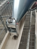 Cage à poulets de type A en acier inoxydable avec mangeoire manuelle