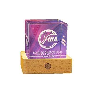 Lámpara de Noche con Forma de Trofeo de Cristal con Logotipo HBA, Hecha a Medida para la Asociación China de Peluquería y Belleza, para Exhibición de Premios - Product Image 1