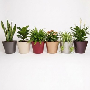 Pot intelligent en plastique PP auto-arrosant avec indicateur de niveau d'eau pour plantes d'intérieur, maison et bureau, vente en gros, petite taille, approvisionnement en vrac - Product Image 1