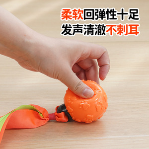 Jouet à mâcher pour chien, balle en ruban TPR, durable, pour le nettoyage dentaire, petite taille, pour l'intérieur - Product Image 3