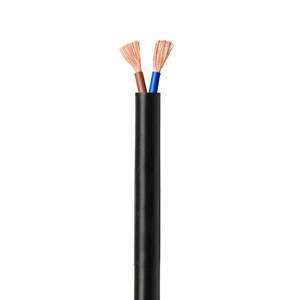 RIXIN H05VV-F 10 AWG固体PVC銅芯フレキシブルシースケーブル2芯300/300V家庭用電化製品ケーブルアセンブリ - Product Image 1