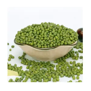 High Sprouting Rate Green Mung Bean Non-gmo Green Gram Seeds Dried Mung Bean for Sale