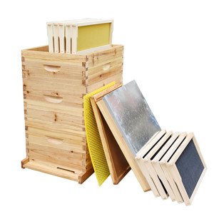 Colmena Langstroth Profesional de 2 Niveles, Kit de Madera de Abeto y Pino para Apicultura - Product Image 1