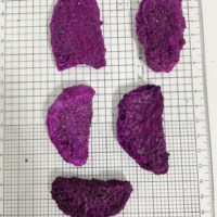 Groothandel Gevriesdroogde Rode Pitaya Geur Knapperige Zoete Snacks Dobbelstenen Poeder Brok Echt Fruit Gevriesdroogd Dragon Fruit