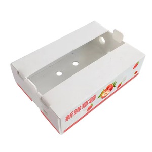 Brocoli creux en plastique okra <span class=keywords><strong>pomme</strong></span> <span class=keywords><strong>de</strong></span> <span class=keywords><strong>terre</strong></span> épinards chou brocoli asperges expédition ondulé PP empilable stockage boîte <span class=keywords><strong>de</strong></span> chiffre d'affaires - Product Image 5