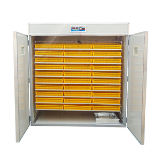 5280개 계란 부화기 판매, 가금류 재판매 사업 - Product Image 2