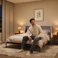 Lit mural transformable horizontal double/queen size avec mécanisme Murphy, design moderne, emballage sous blister