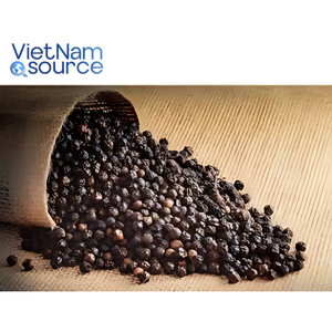 Riz noir authentique pour épices-Solution rentable d'exportation de poivre noir-De l'usine du Viet Nam - Product Image 1