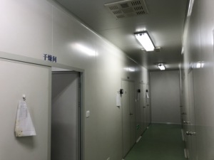 Fornitura Premium di alta qualità Lactobacillus Buchneri probiotici in polvere - Product Image 3