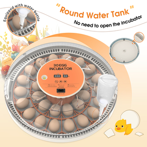 Incubateur <span class=keywords><strong>de</strong></span> machine d'élevage d'oeufs <span class=keywords><strong>de</strong></span> <span class=keywords><strong>perroquet</strong></span> <span class=keywords><strong>de</strong></span> poulet <span class=keywords><strong>de</strong></span> WONEGG CE marqué 30 à <span class=keywords><strong>vendre</strong></span> - Product Image 4