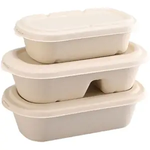 Sugar Cane Organic Menu Hinged Lid Take Away Food Container Bagasse Burger Box Disposable Party Paper Plates Sugar Cane Plate