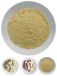 Fresh Fine Powdered Ginger Powder Dehydrated China Now Ginger Dry Ginger Powder FOB