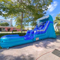 Toboggan aquatique gonflable de qualité commerciale en forme de dauphin pour adultes et enfants
