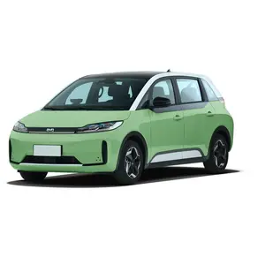 Cina 2023 2024 best seller MPV byd d1 auto elettrica veicoli di nuova energia