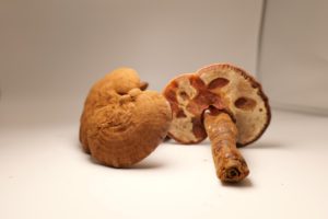 Высокое качество Reshi гриб Рейши экстракт гриба - Product Image 4