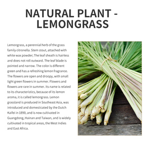 Aceite esencial de hierba de limón orgánico puro 100% de etiqueta privada para difusor de aromaterapia hidratante - Product Image 2