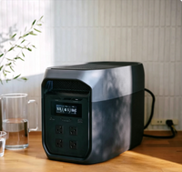 DELTA 3 MAX 2048Wh 2400W Tragbare Powerstation mit EU-Stecker CN/US Outdoor-Beleuchtungs-Stromversorgung