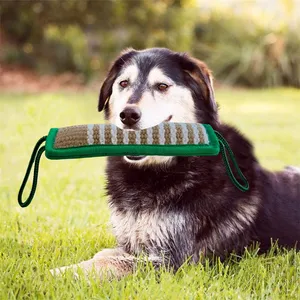 Exclusive discounts agility obstacle equipment set dog supplies biting toys teeth cleaning pet training for wholesales