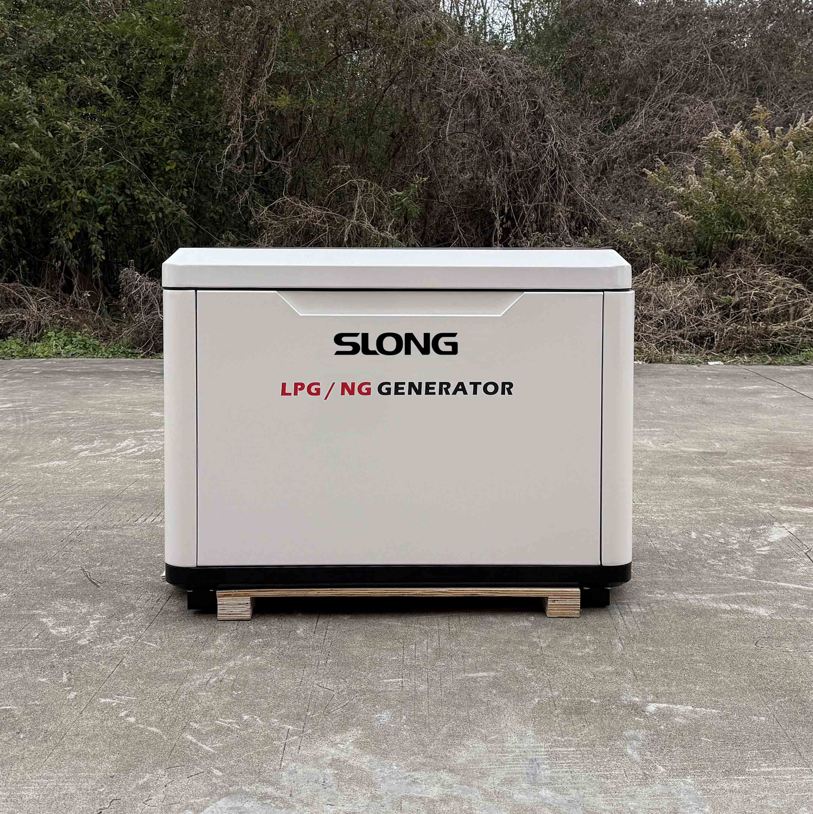 generator gasoline 10 000 watt