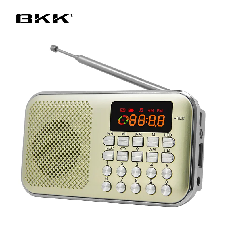 Radio FM Murah, Pemutar Radio FM Luar Ruangan Kecil dengan USB/TF/FM/LED Amplifier Speaker Bluetooth Radio.
