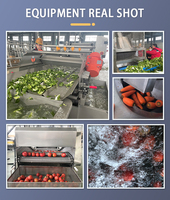Ligne de traitement automatisée complète des légumes et des salades pour la coupe, les lavages, le séchage et le pesage des légumes à feuilles de laitue