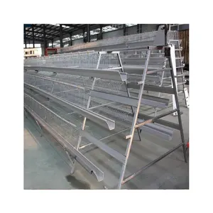 Hot quality automated A type 4 layer cage for laying hens