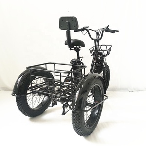 20 "500W bán buôn 3 bánh xe điện ba bánh chất béo lốp hàng hóa điện ba bánh cho người lớn ba bánh xe máy điện cho người lớn - Product Image 2