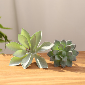 Bán Buôn Nhân Tạo Mini Xương Rồng Cây Mọng Nước Trang Trí - Product Image 3