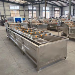 Máquina Comercial KINKAI Automática para Lavado por Burbujas de Aire de Frutas, Jengibre, Cebolla y Pimienta, Línea de Producción para Corte y Clasificación de Frutas - Product Image 3