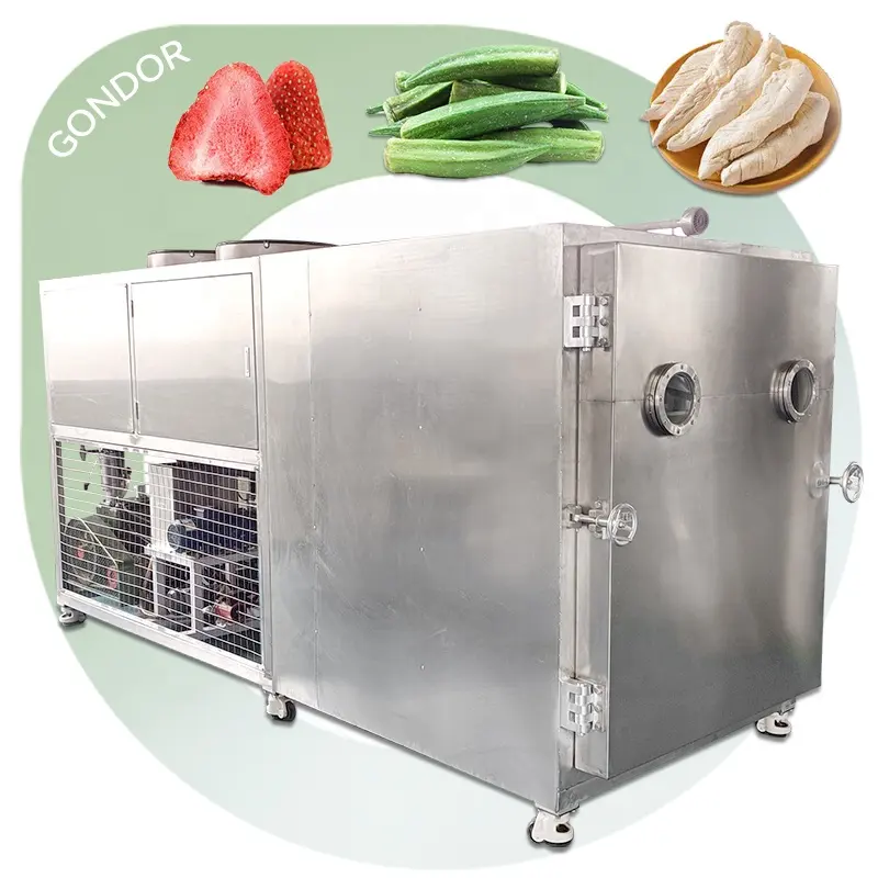 Liyofililizer Liofilizador endüstriyel dondurma kurutma kurutulmuş kuru kurutma makinesi ekipmanları gıda için