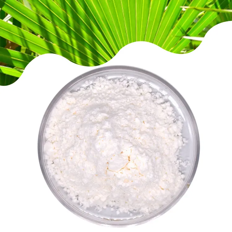 Herbasea suministro al por mayor orgánico Saw Palmetto PE extracto en polvo de ácido graso