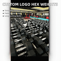 Haltères hexagonaux en caoutchouc avec logo personnalisé, haltères hexagonaux en fonte avec poignée métallique moletée, équipement de musculation pour la maison et la salle de sport