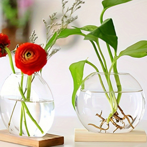 Fabricant <span class=keywords><strong>pas</strong></span> <span class=keywords><strong>cher</strong></span> créatif hôtel fleur plante hydroponique décoration de bureau <span class=keywords><strong>vase</strong></span> <span class=keywords><strong>en</strong></span> verre avec cadre <span class=keywords><strong>en</strong></span> <span class=keywords><strong>bois</strong></span> - Product Image 2