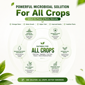 Biofertilizante Líquido de Alta Eficiencia para Estimular Raíces, Inoculante Microbiano para Arroz, Vegetales, Árboles Frutales y Cultivos de Campo - Product Image 5