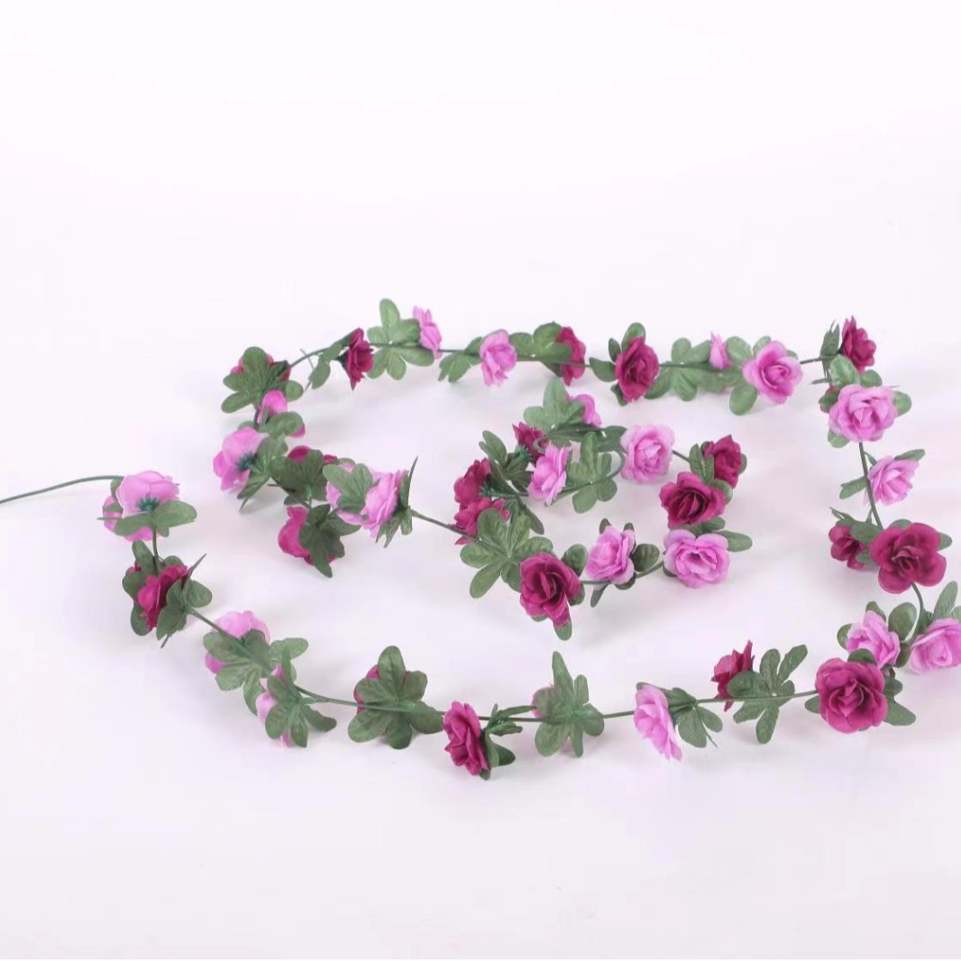 45 têtes de rose pourpre [best-seller amazon]
