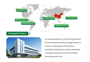 Polissacarídeos orgânicos Lingzhi <span class=keywords><strong>Ganoderma</strong></span> <span class=keywords><strong>lucidum</strong></span> 10% 30% 50% Reishi pó extrato do cogumelo Reishi - Product Image 6