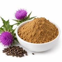 Extrait de Chardon-Marie (Silybum Marianum) 80% Silimarines HPLC/UV – Poudre d'extrait de Chardon-Marie de haute pureté pour la détoxification et le soutien hépatique