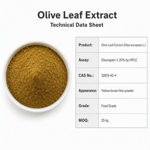 Poudre d'extrait de feuille d'olivier lyophilisée en vrac LCHBIO, 20% d'oléuropéine HPLC, antioxydant naturel, qualité alimentaire pour l'immunité et la santé - Product Image 2