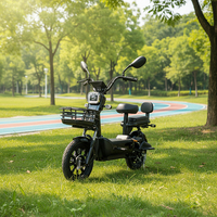 Trottinette électrique intelligente sans balais E2 OEM/ODM CE 500W avec freins à tambour, double suspension arrière, alarme et panier pour la vente en gros
