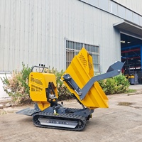 Kleine Raupenlader-Muldenkipper für landwirtschaft liche Betriebe Mini Dumper 500kg Motor lager pumpe 1 Jahr Garantie Kostenlose Lieferung