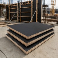 Plateforme d'échafaudage en contreplaqué filmé noir E1 4x8FT pour projets de construction d'hôtels et de villas - Vente en gros usine