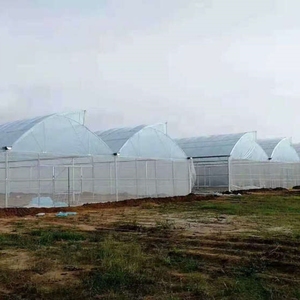 냉방시스템을 갖춘 다경간 농업용 톱니 온실 그물차양 농업 - Product Image 2