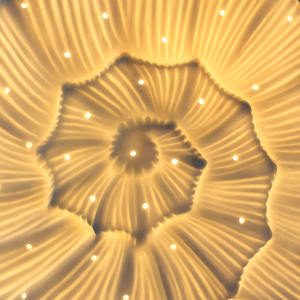 Nuovo Design moderno ODM/OEM 3D luce notturna cava lampada da tavolo lumaca conchiglia artigianale lampada da tavolo per la decorazione della casa - Product Image 3