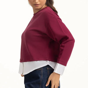 Pullover Hoodie Breathable Streetwear Sweatshirts For Sale Latest Style Casual Wear Women Sweatshirts - Product Image 4