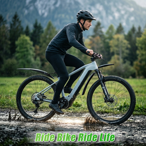 RBRL Bestseller Fahrradzubehör OEM ODM MTB Schnellspanner-Schutzblech für 29-Zoll-Fahrrad 2,8-Zoll-Reifen - Product Image 6