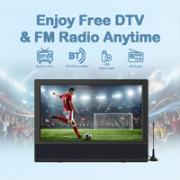 Sistema de Karaoke Portátil de 14 Pulgadas con Pantalla 1366x768, 2 Micrófonos Inalámbricos, DC12V, para Camping, Hogar y TV