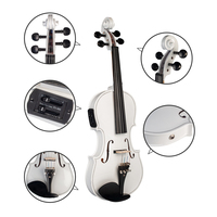 NAOMI Acoustic Violin Set With EQ Installation Solidwood 4/4 Fiddle w/ Brazilwood Bow+Audio Cable+Rosin+Violin Case